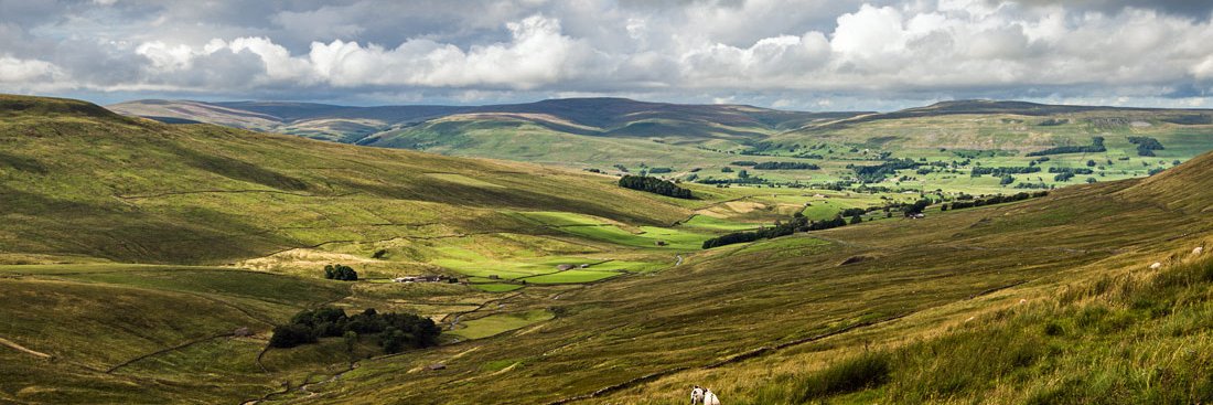 michael gow tolson banner