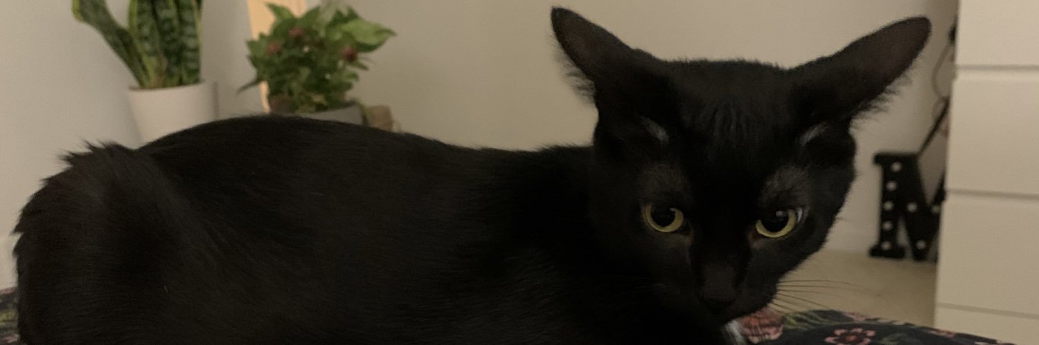 MaddyWatterson's profile banner image