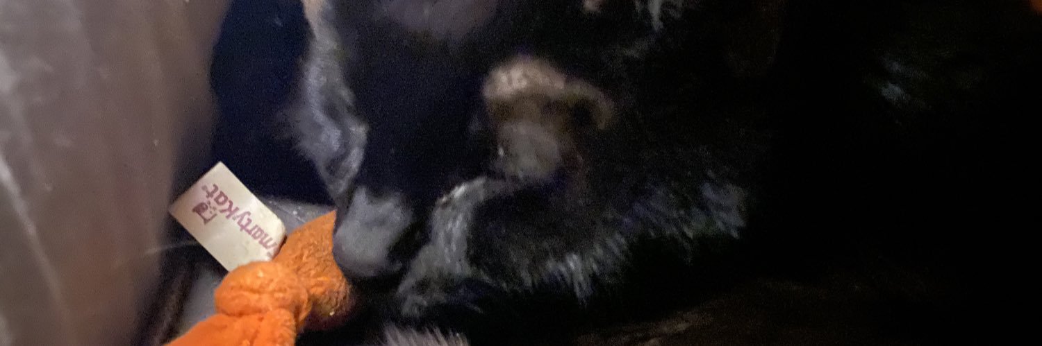 JakeScribbles banner