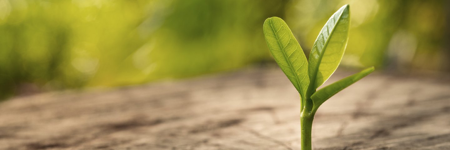 Crypto Portfoy® Inc. banner