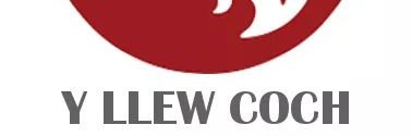 YLlewCoch's profile banner image