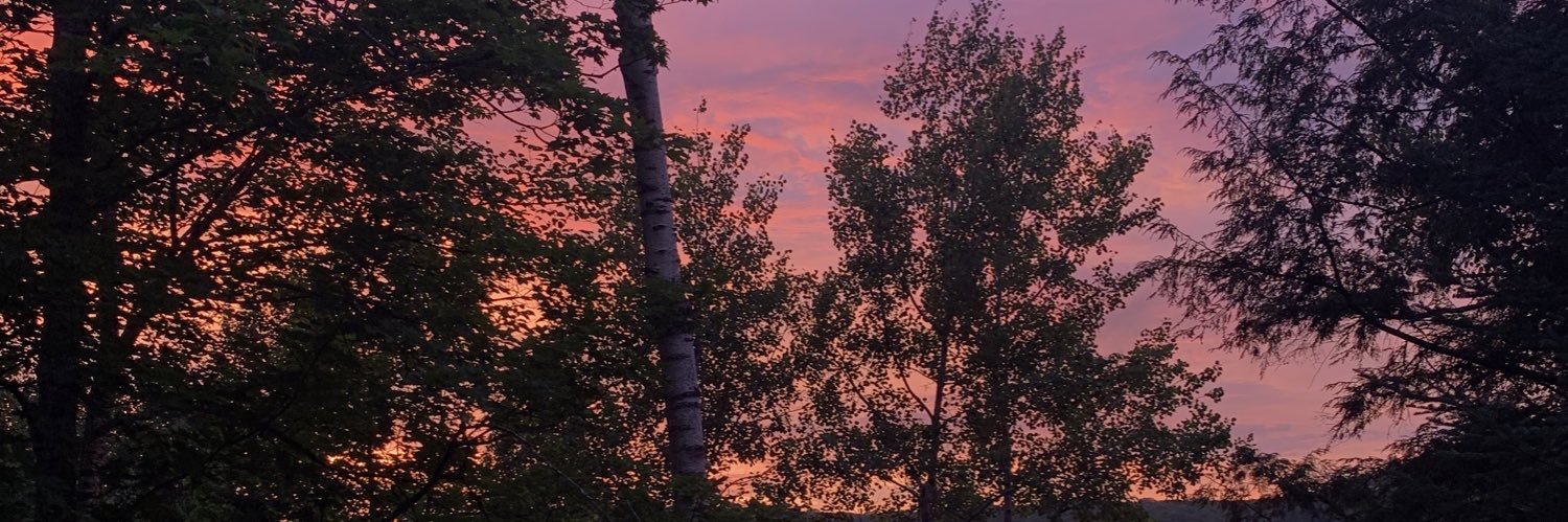 JessicaFilipcic's profile banner image