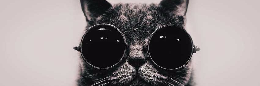 Frenetcs_'s profile banner image