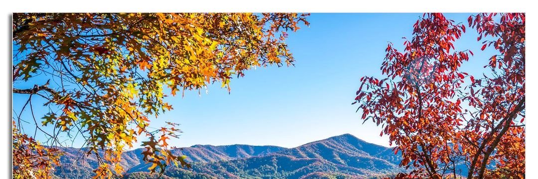 aejnas's profile banner image