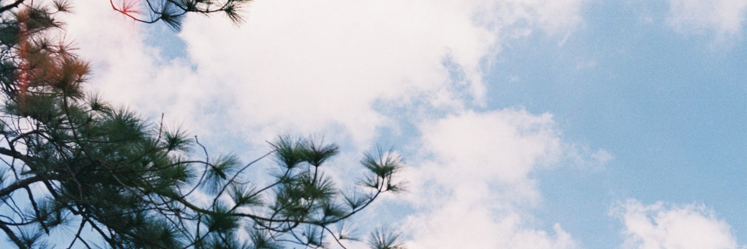 tmzP's profile banner image