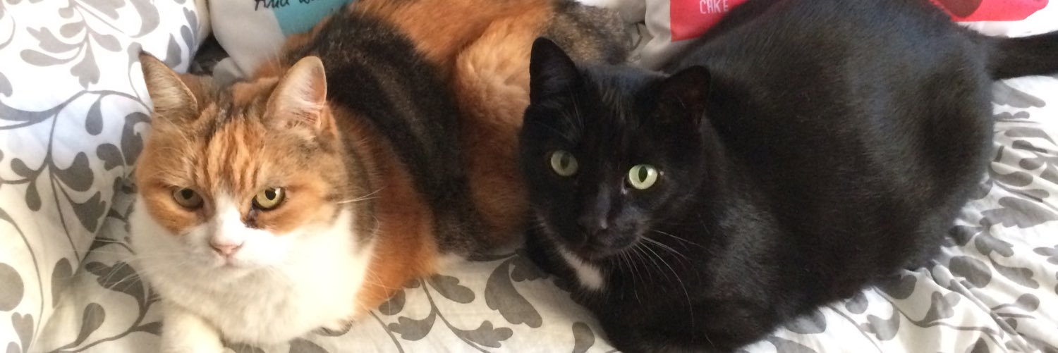 annaoo7's profile banner image
