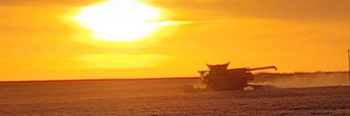 felibarcelonna's profile banner image