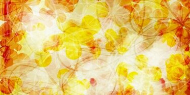 🌺Andrea F.D ♻️ banner