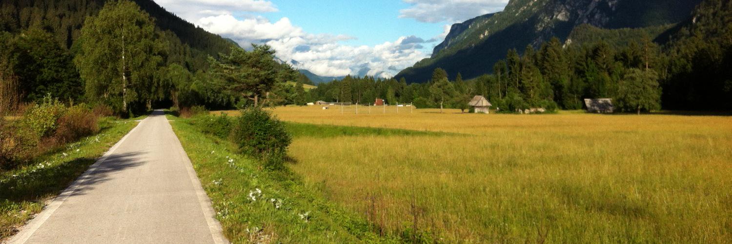 Klement Podnar banner