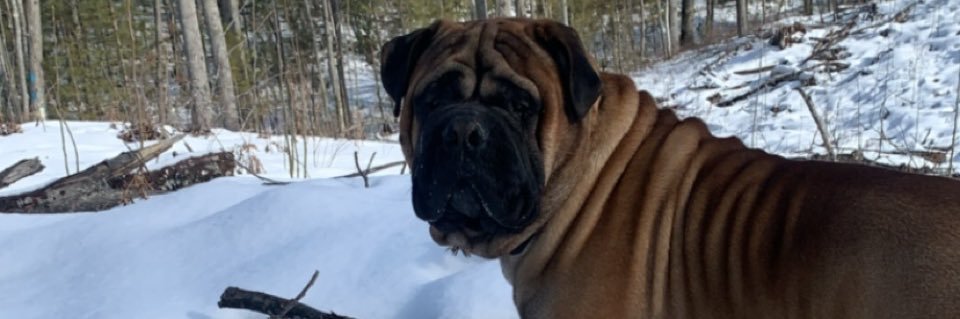 MarshGarret's profile banner image