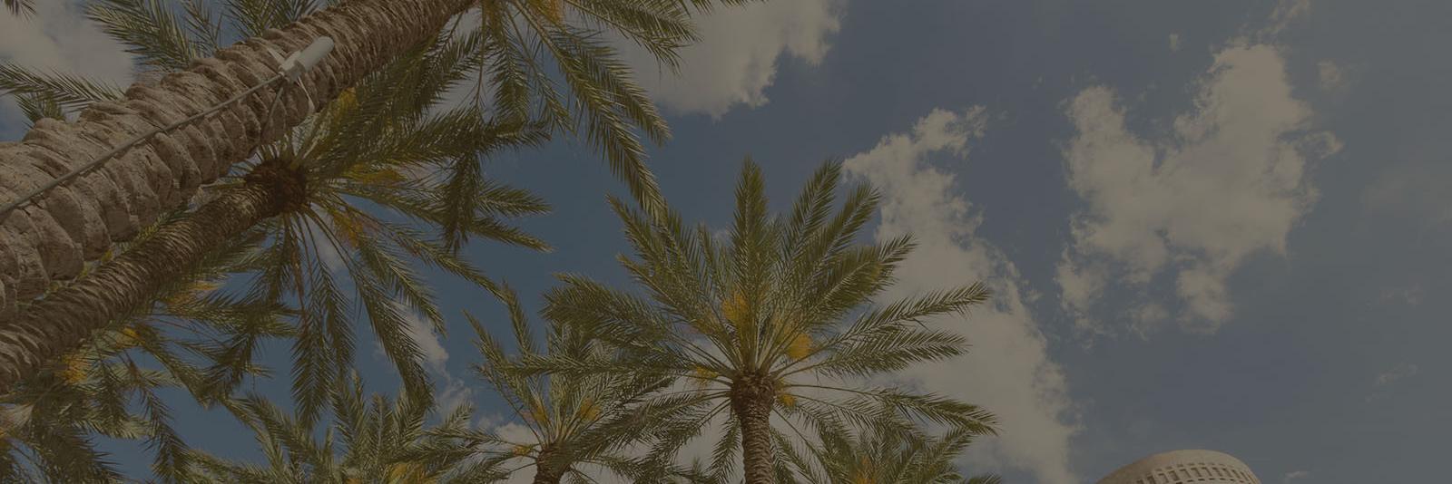 TampaBayTech banner
