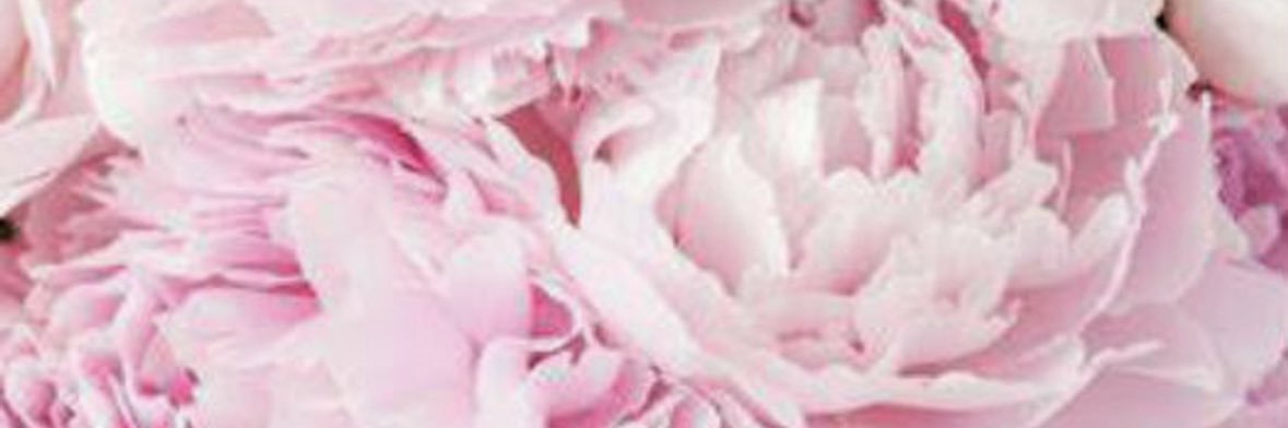 JennMcManus_'s profile banner image