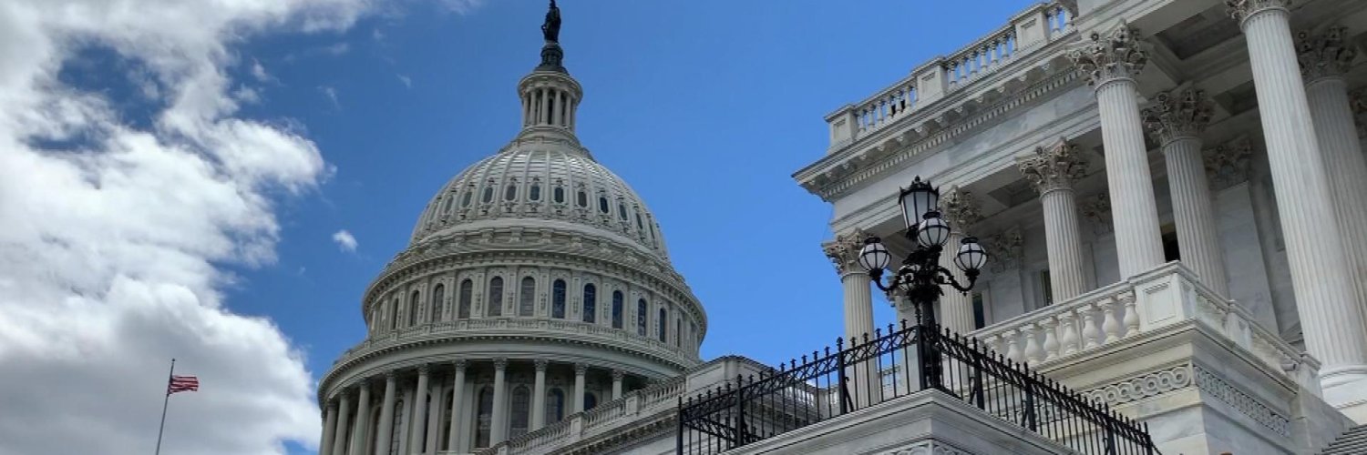 Samantha Graubard banner