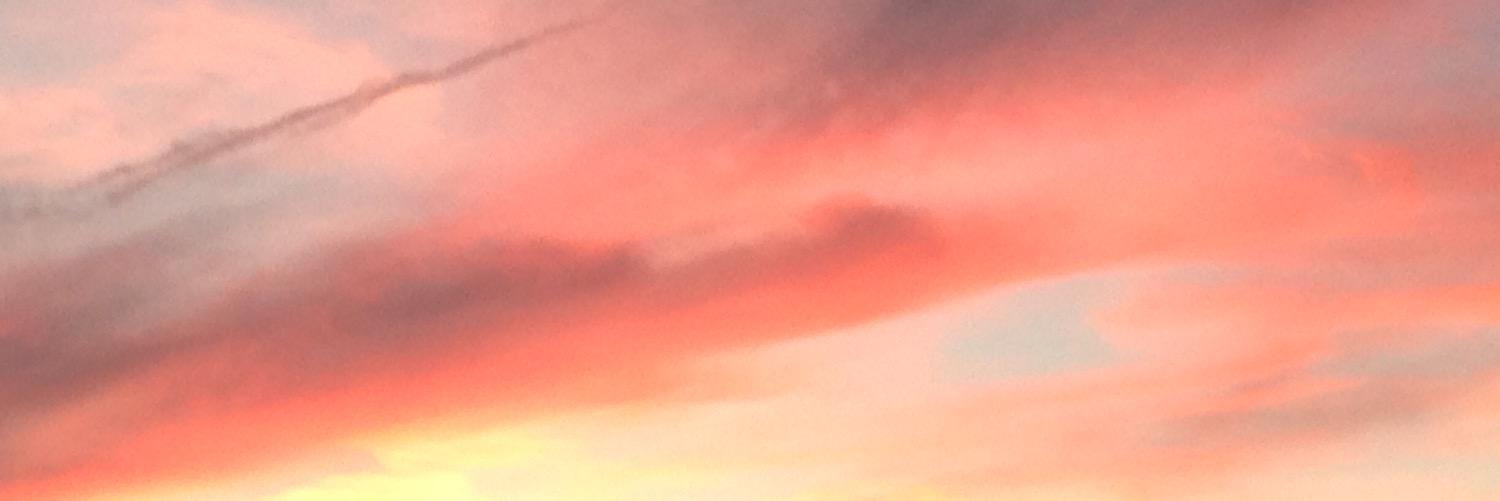 susiwatts's profile banner image
