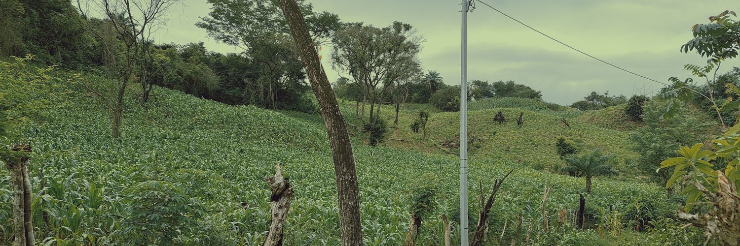 ROLANDO DELGADO banner