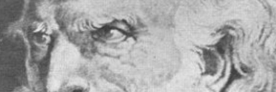 elcanilla_'s profile banner image