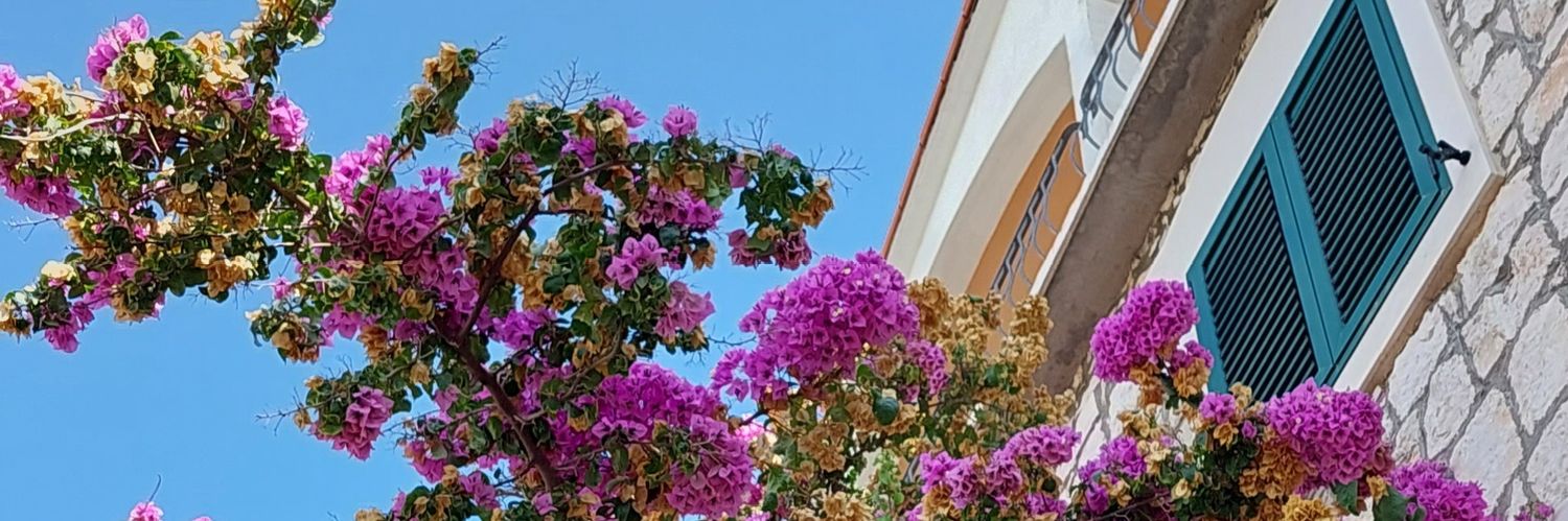 lukeylovana's profile banner image