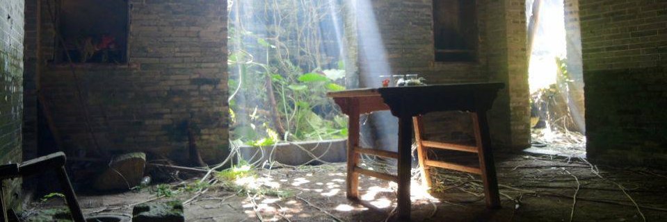 Amanda W. Bergado banner