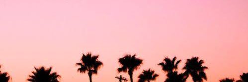 susimacco's profile banner image