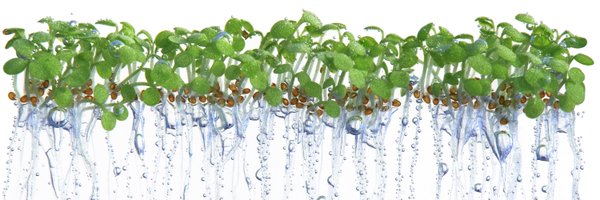 SjonHartman Profile Banner