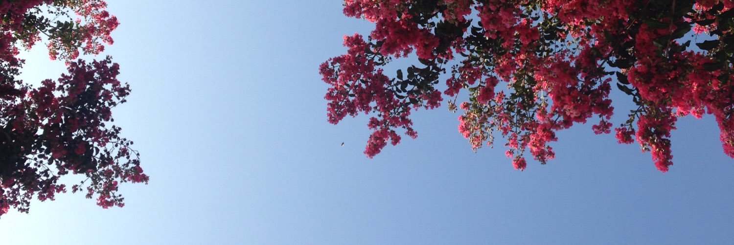 adriserika's profile banner image