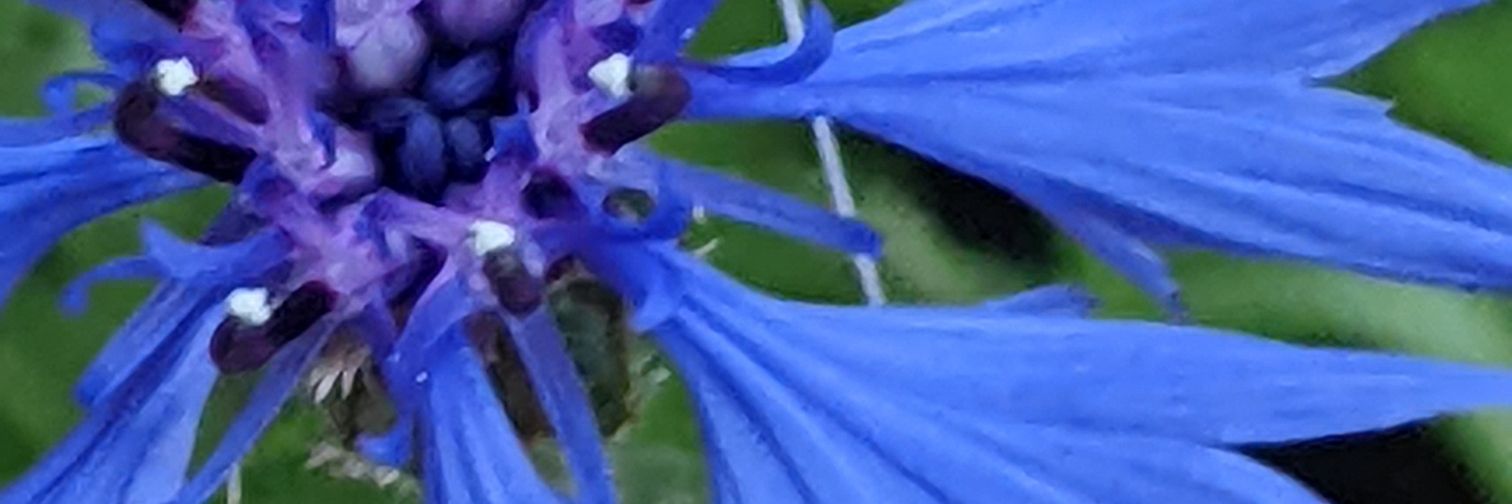 ESapience's profile banner image