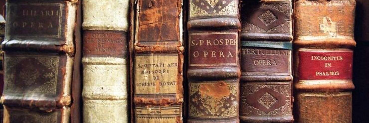 Mimi Isabella Brown banner