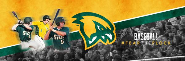 FSUFalconsBSB Profile Banner