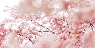 kusjeromy_'s profile banner image