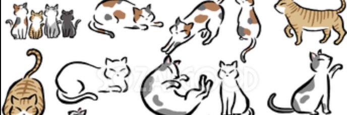 helpamommy's profile banner image