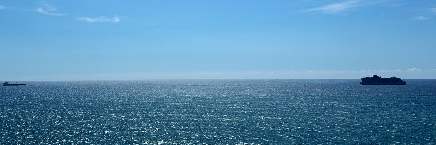 Tiare Liberty Sol 🌺☀️ banner