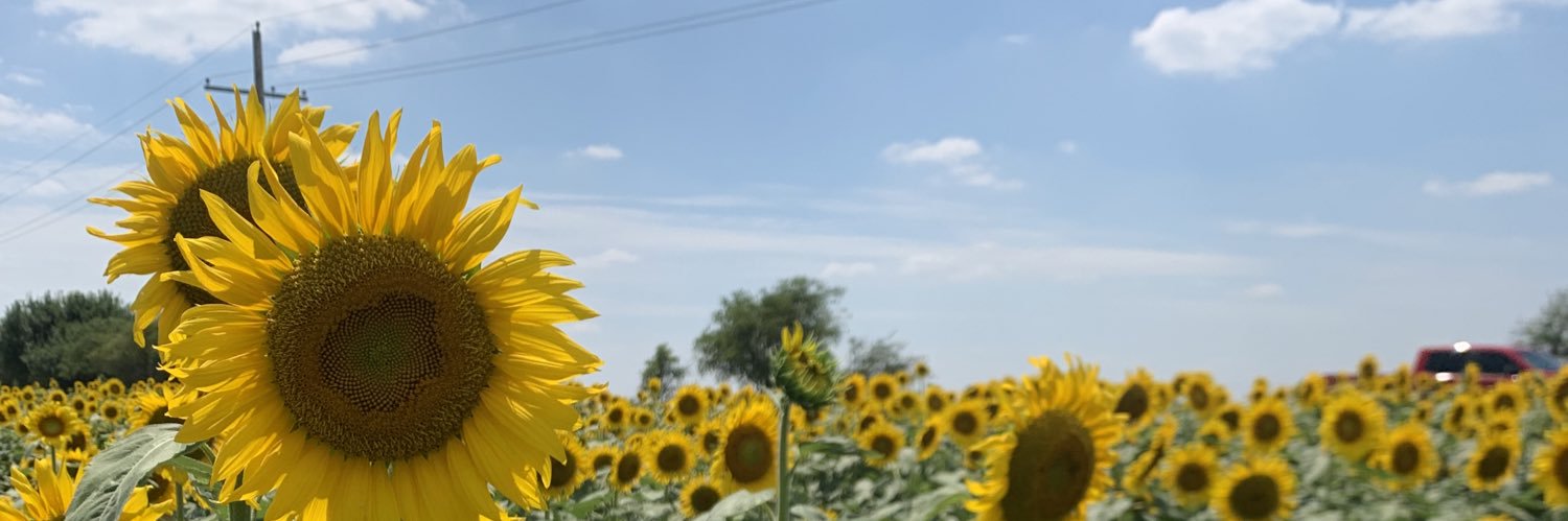 queenk3306's profile banner image