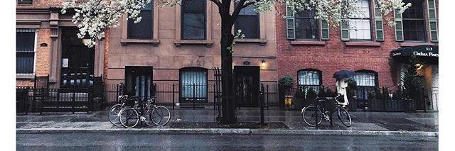 RileyxHill's profile banner image