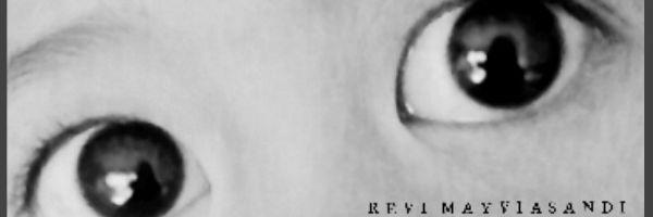 Revi Mayviasandi banner