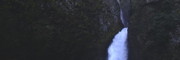 nico_capi Profile Banner