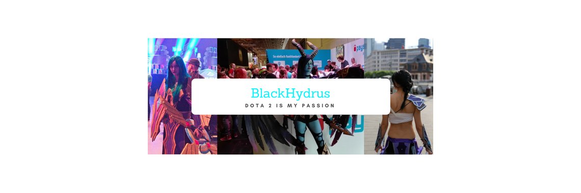 BlackHydrus's profile banner image