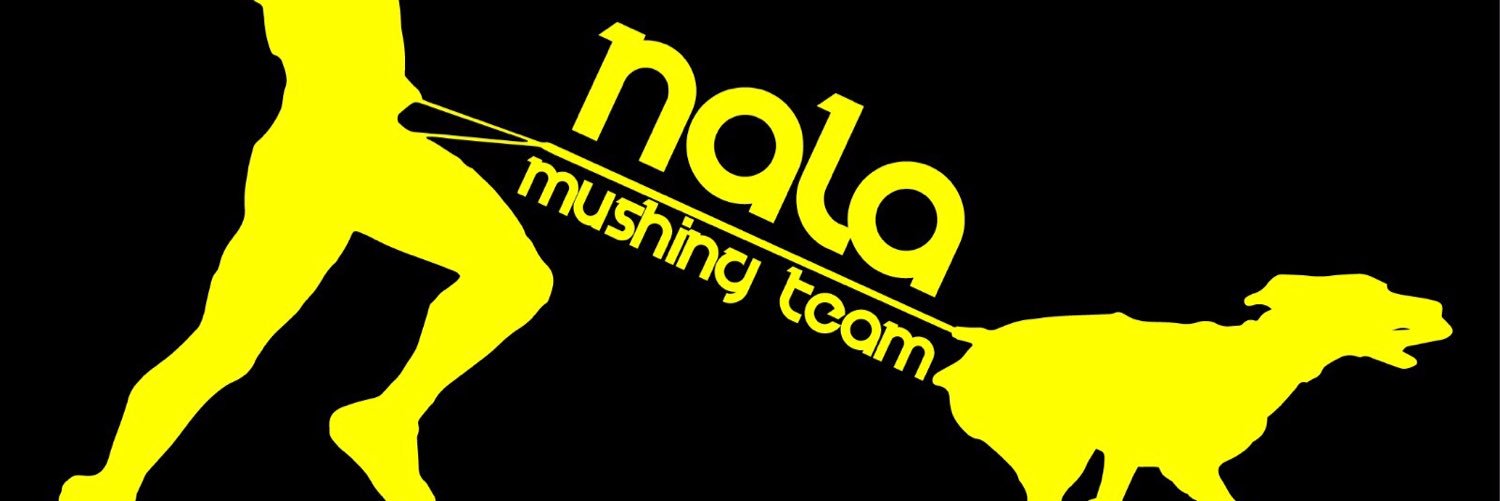 Nala, Aquiles y Orión banner