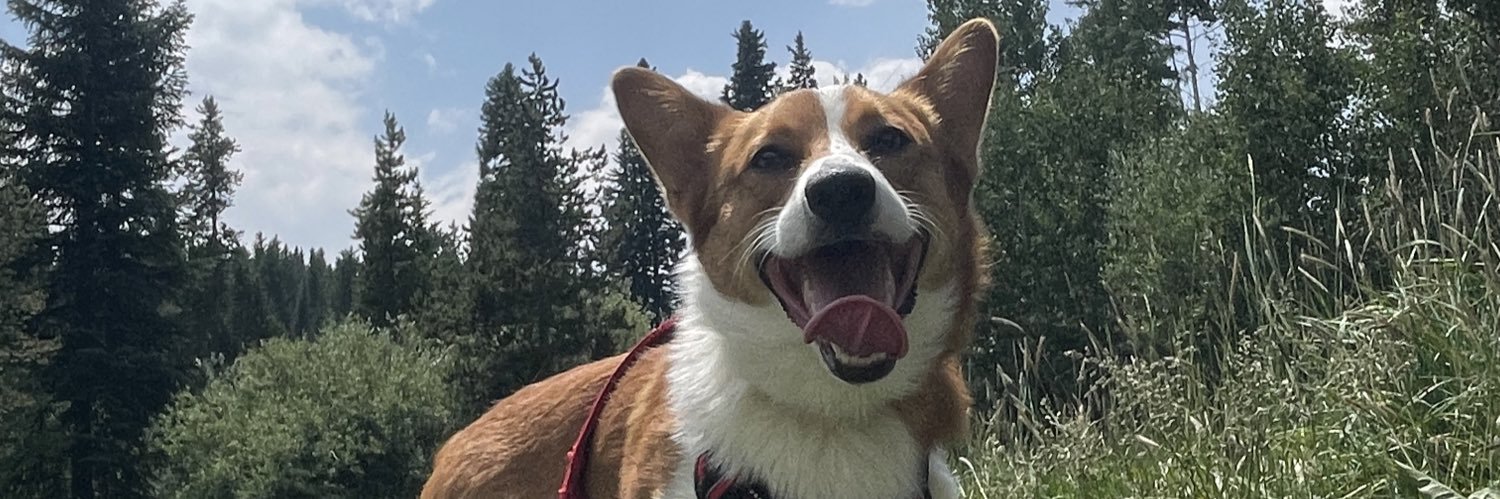 l_johnson45's profile banner image