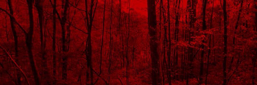 CrazedPopTart's profile banner image