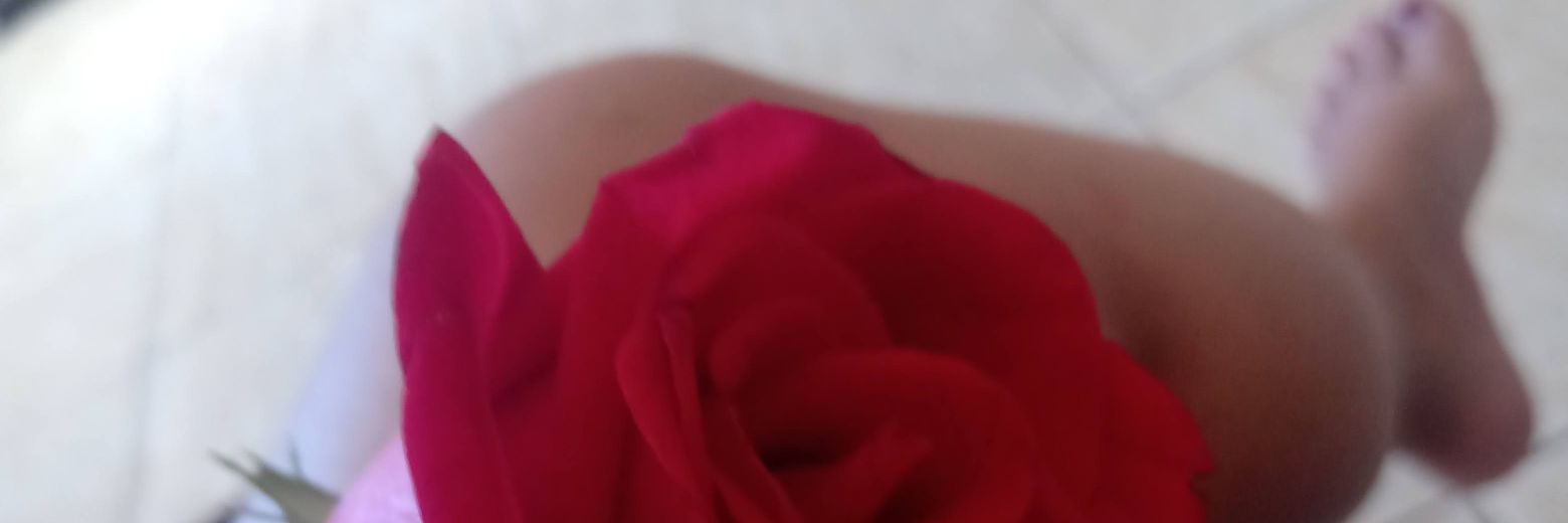 AndraAlvesGomes's profile banner image