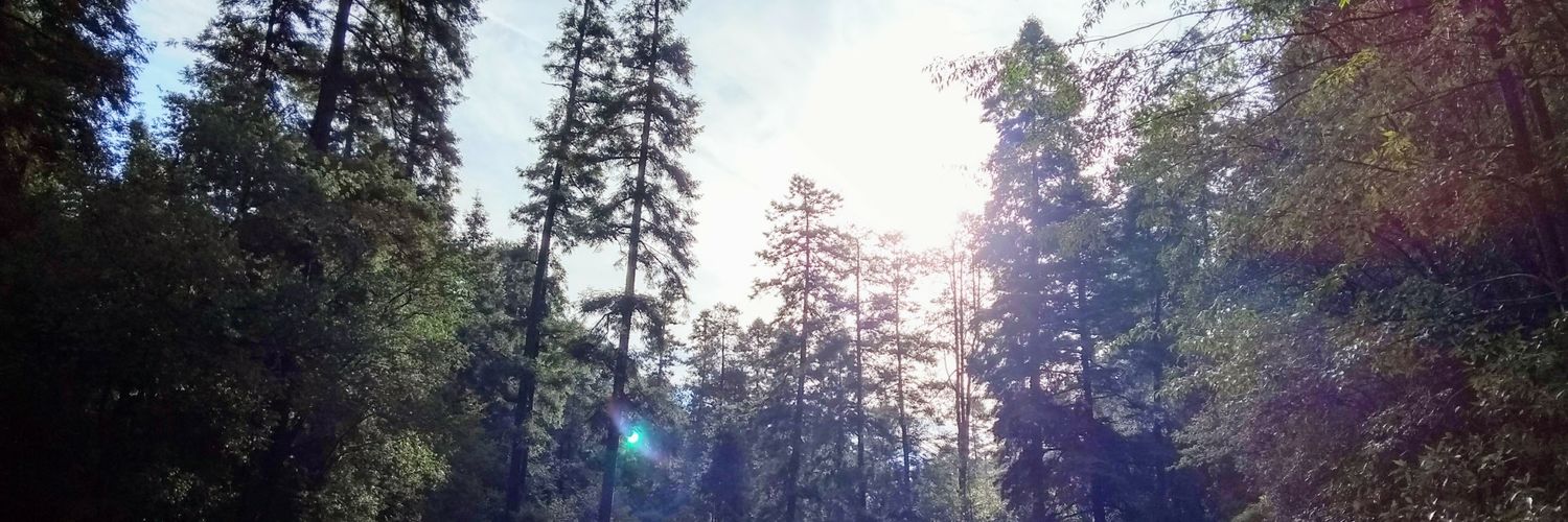 ReyessRoo's profile banner image