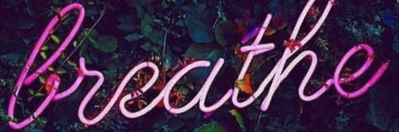 _binbinnn's profile banner image