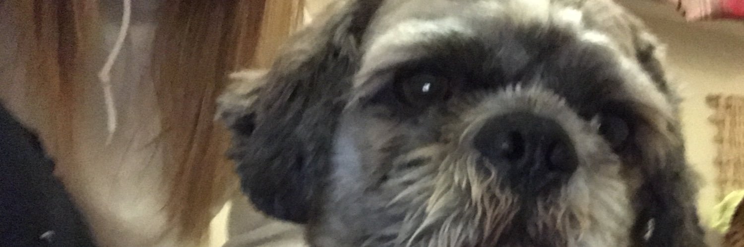Millie banner