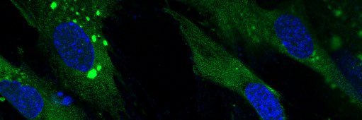 ScienceCrix's profile banner image