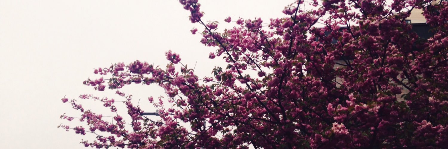 heidi_auv's profile banner image