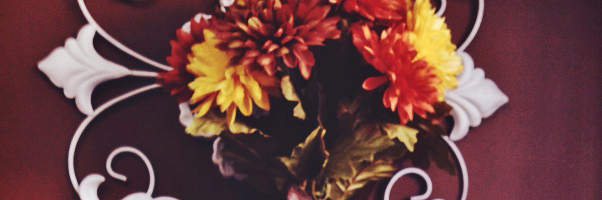 thepinkbean_'s profile banner image