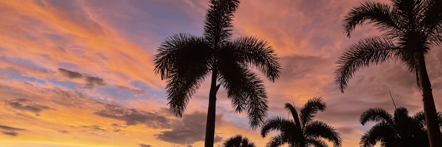 aaaalyssa_'s profile banner image