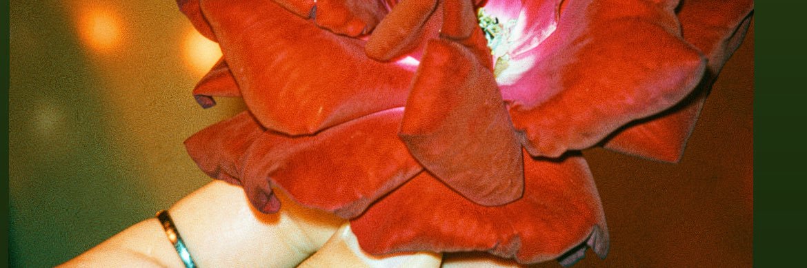 🦋🩶 banner