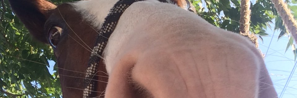 ferleeg's profile banner image