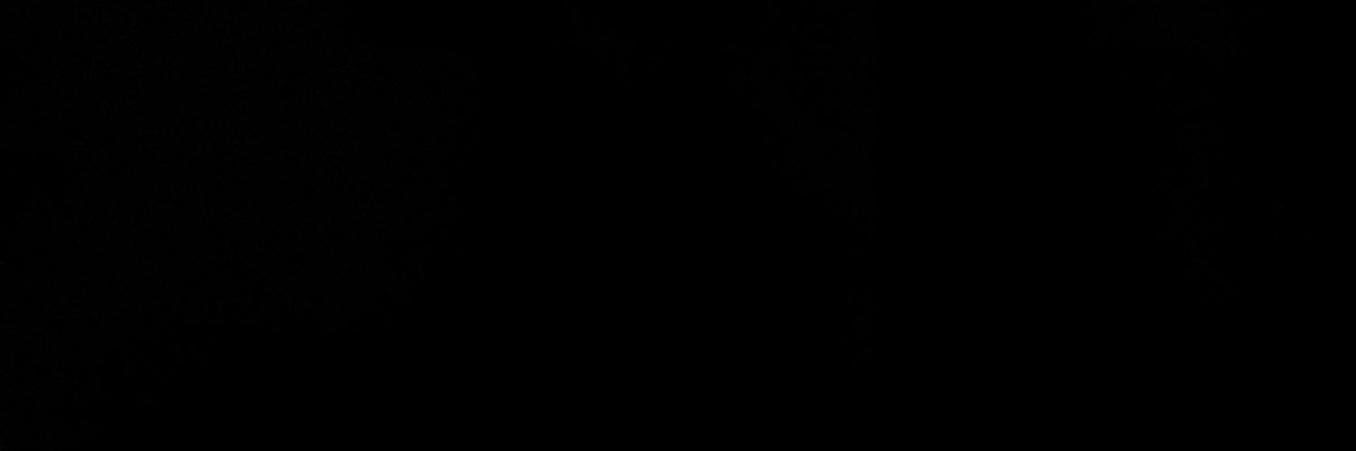 raumhein's profile banner image
